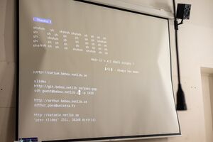 2024HEAR 9A1620.edt.JPG